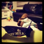 chocolate